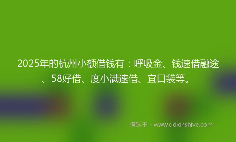 2025年的杭州小额借钱有：呼吸金、钱速借融途、58好借、度小满速借、宜口袋等。