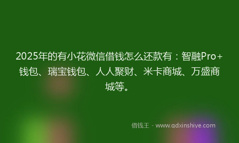 2025年的有小花微信借钱怎么还款有：智融Pro+钱包、瑞宝钱包、人人聚财、米卡商城、万盛商城等。