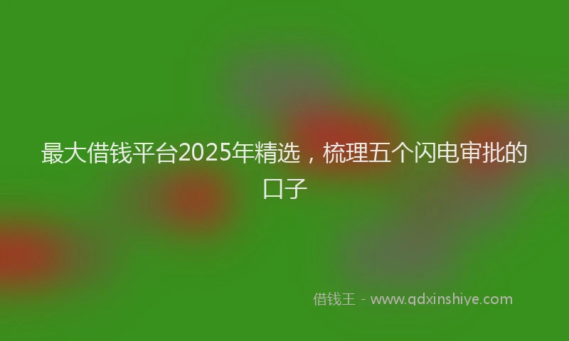 最大借钱平台2025年精选，梳理五个闪电审批的口子