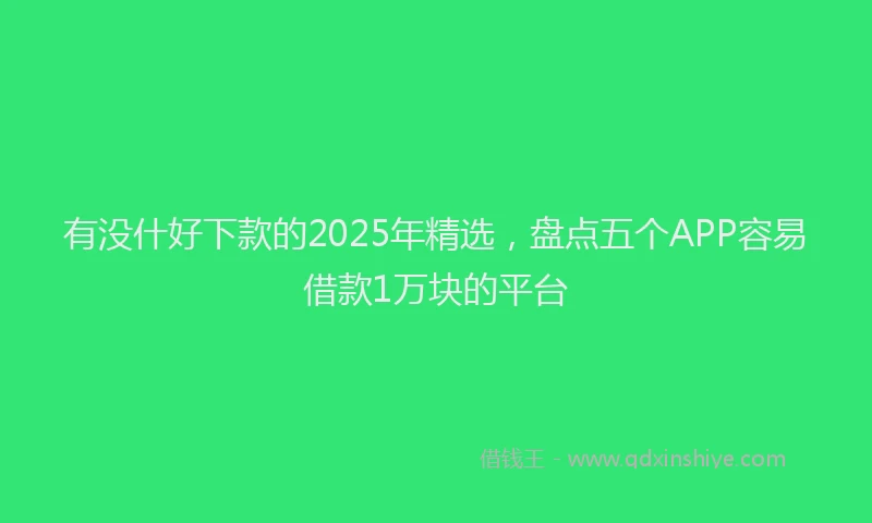 有没什好下款的2025年精选，盘点五个APP容易借款1万块的平台