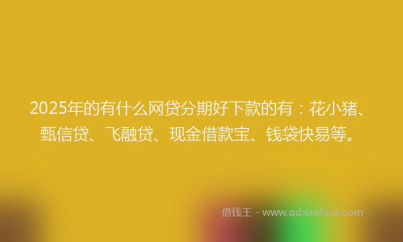 2025年的有什么网贷分期好下款的有：花小猪、甄信贷、飞融贷、现金借款宝、钱袋快易等。
