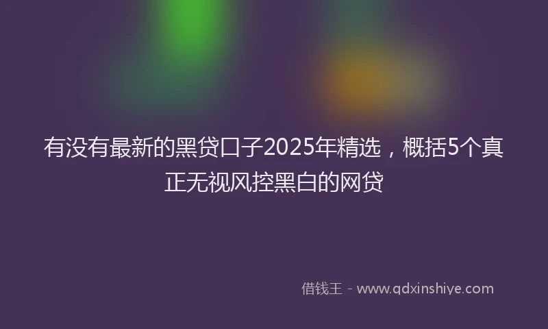 有没有最新的黑贷口子2025年精选，概括5个真正无视风控黑白的网贷