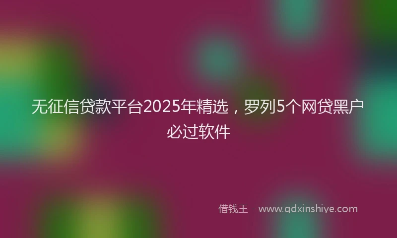 无征信贷款平台2025年精选，罗列5个网贷黑户必过软件