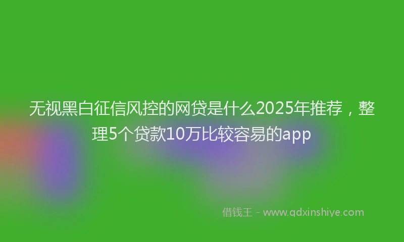 无视黑白征信风控的网贷是什么2025年推荐，整理5个贷款10万比较容易的app