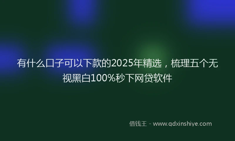 有什么口子可以下款的2025年精选，梳理五个无视黑白100%秒下网贷软件