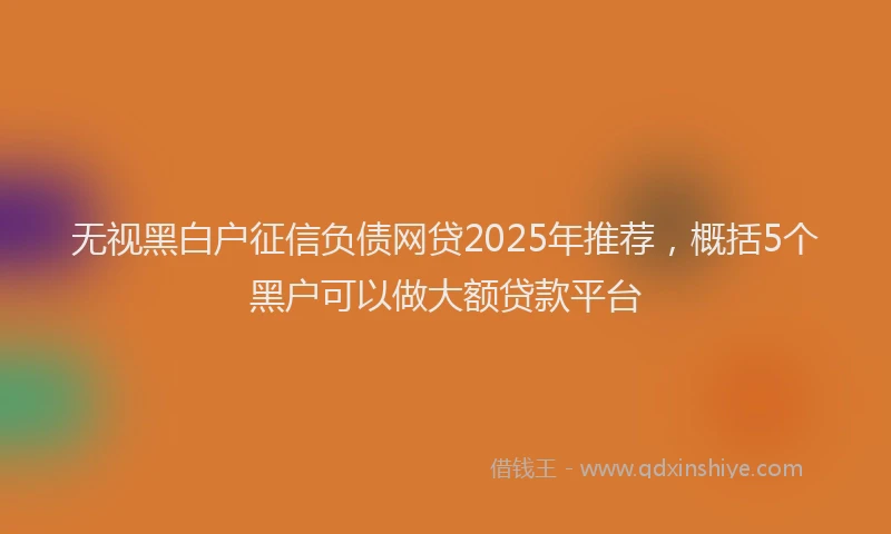 无视黑白户征信负债网贷2025年推荐，概括5个黑户可以做大额贷款平台