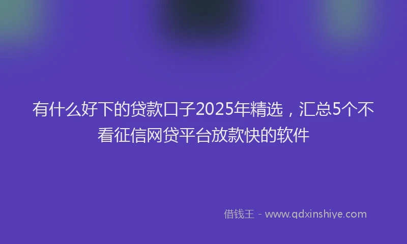 有什么好下的贷款口子2025年精选，汇总5个不看征信网贷平台放款快的软件