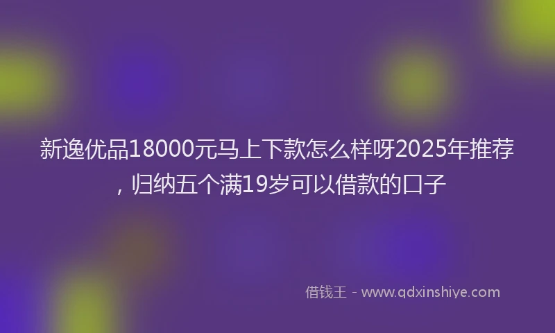 新逸优品18000元马上下款怎么样呀2025年推荐，归纳五个满19岁可以借款的口子