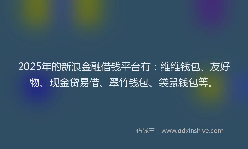 2025年的新浪金融借钱平台有：维维钱包、友好物、现金贷易借、翠竹钱包、袋鼠钱包等。