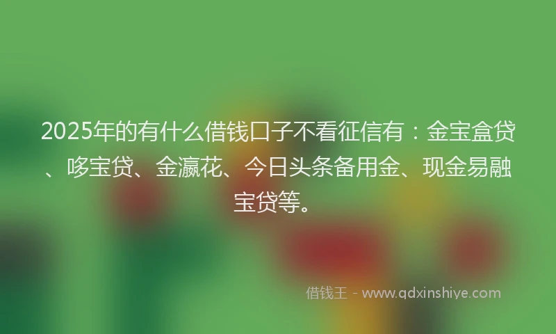2025年的有什么借钱口子不看征信有：金宝盒贷、哆宝贷、金瀛花、今日头条备用金、现金易融宝贷等。
