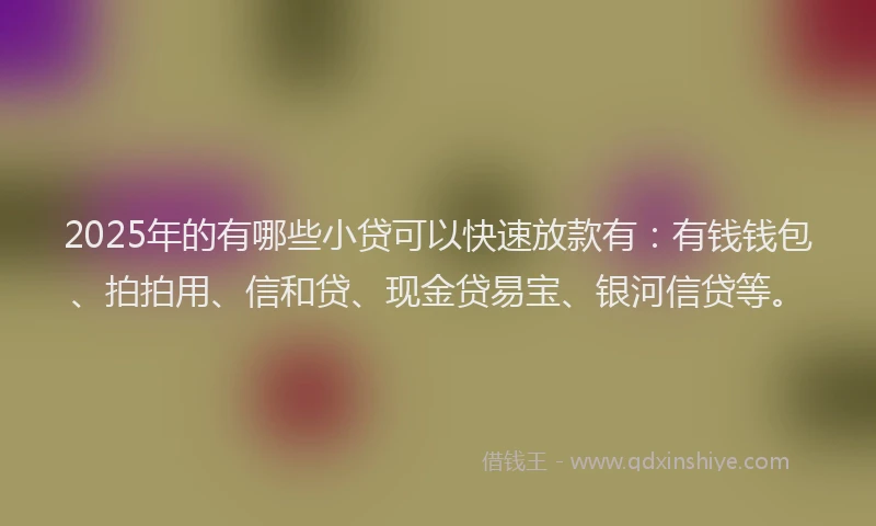 2025年的有哪些小贷可以快速放款有：有钱钱包、拍拍用、信和贷、现金贷易宝、银河信贷等。