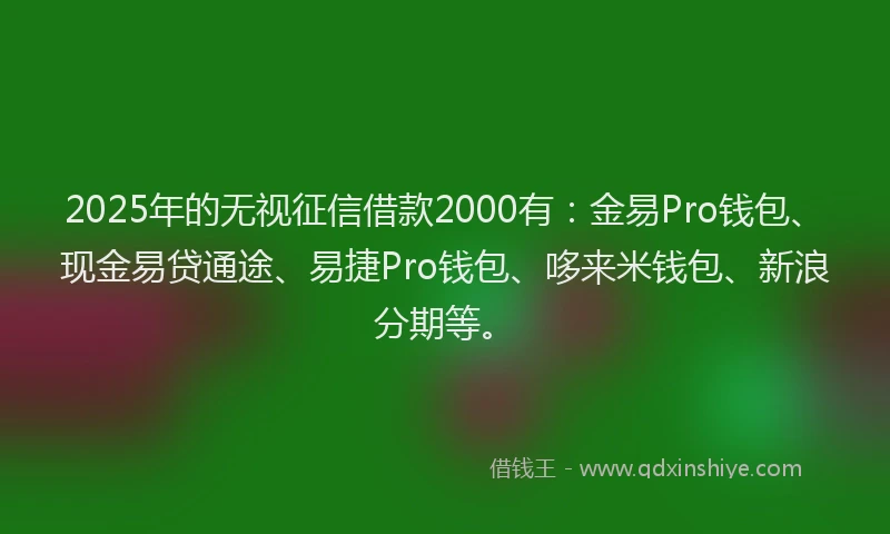 2025年的无视征信借款2000有：金易Pro钱包、现金易贷通途、易捷Pro钱包、哆来米钱包、新浪分期等。