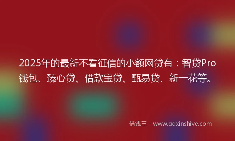 2025年的最新不看征信的小额网贷有：智贷Pro钱包、臻心贷、借款宝贷、甄易贷、新一花等。