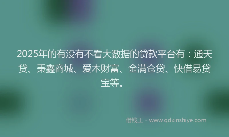 2025年的有没有不看大数据的贷款平台有：通天贷、秉鑫商城、爱木财富、金满仓贷、快借易贷宝等。