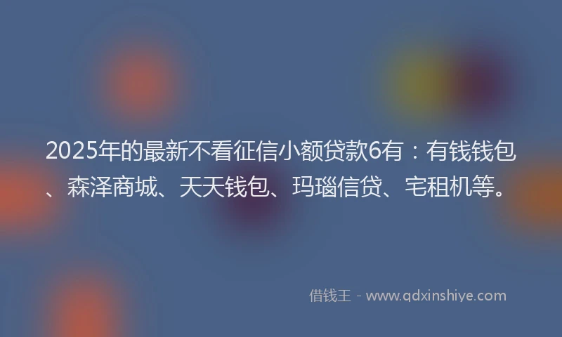 2025年的最新不看征信小额贷款6有：有钱钱包、森泽商城、天天钱包、玛瑙信贷、宅租机等。