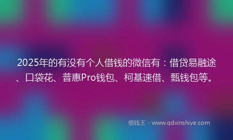 2025年的有没有个人借钱的微信有：借贷易融途、口袋花、普惠Pro钱包、柯基速借、甄钱包等。