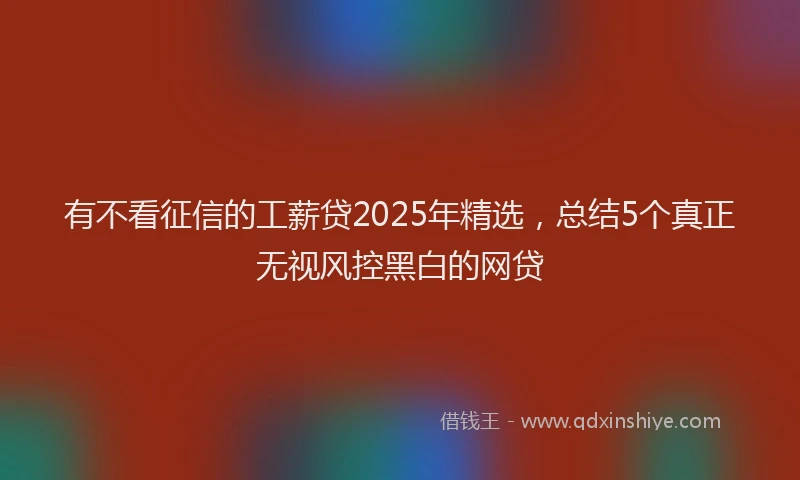 有不看征信的工薪贷2025年精选，总结5个真正无视风控黑白的网贷