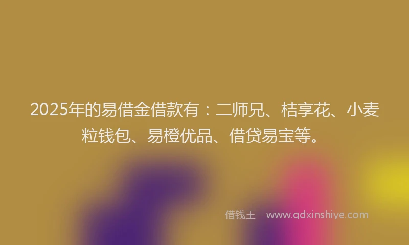 2025年的易借金借款有：二师兄、桔享花、小麦粒钱包、易橙优品、借贷易宝等。