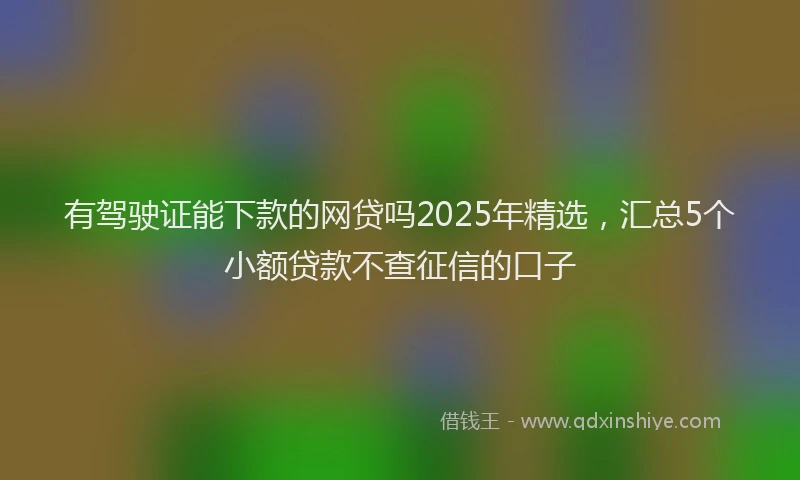 有驾驶证能下款的网贷吗2025年精选，汇总5个小额贷款不查征信的口子