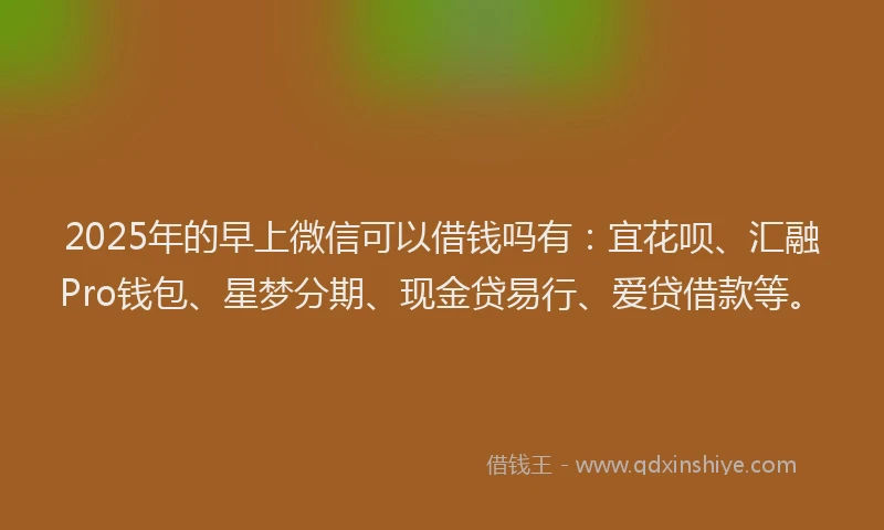 2025年的早上微信可以借钱吗有：宜花呗、汇融Pro钱包、星梦分期、现金贷易行、爱贷借款等。