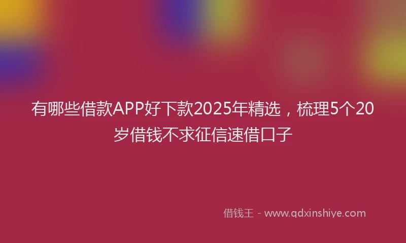 有哪些借款APP好下款2025年精选，梳理5个20岁借钱不求征信速借口子