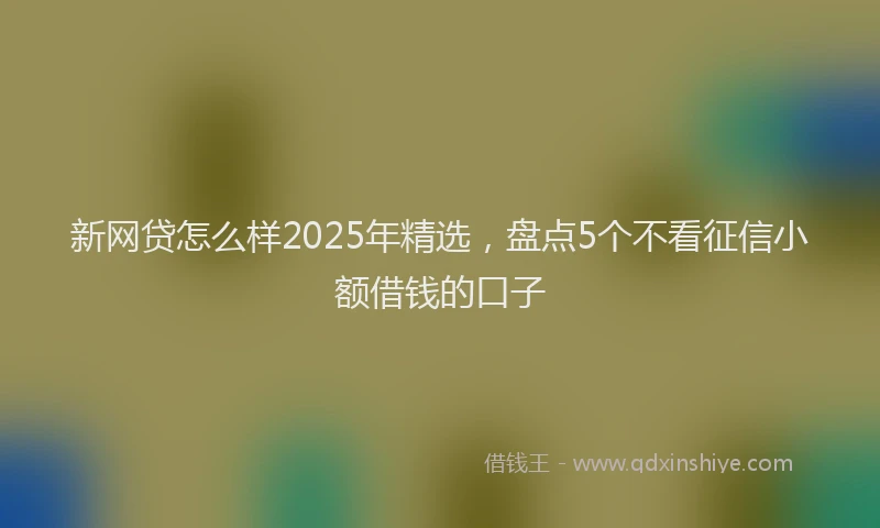 新网贷怎么样2025年精选，盘点5个不看征信小额借钱的口子