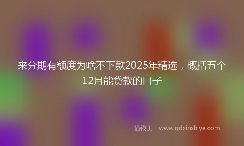 来分期有额度为啥不下款2025年精选，概括五个12月能贷款的口子