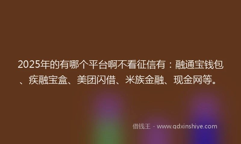 2025年的有哪个平台啊不看征信有：融通宝钱包、疾融宝盒、美团闪借、米族金融、现金网等。