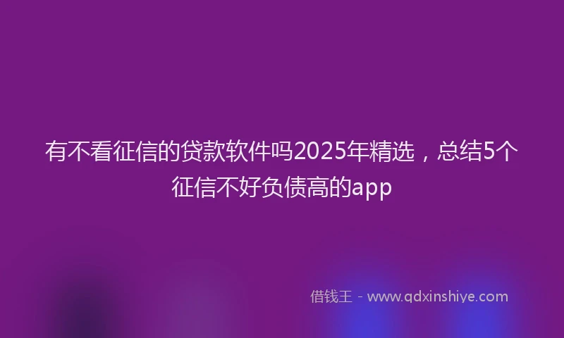 有不看征信的贷款软件吗2025年精选，总结5个征信不好负债高的app