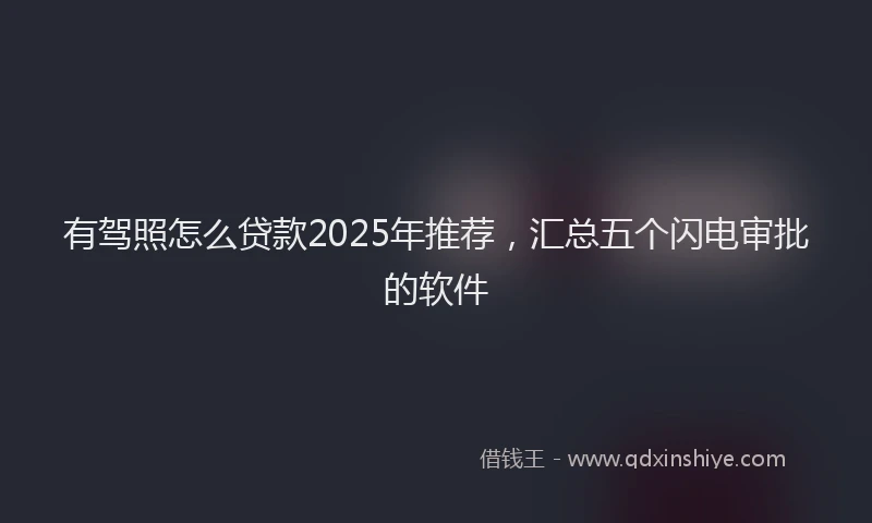 有驾照怎么贷款2025年推荐，汇总五个闪电审批的软件