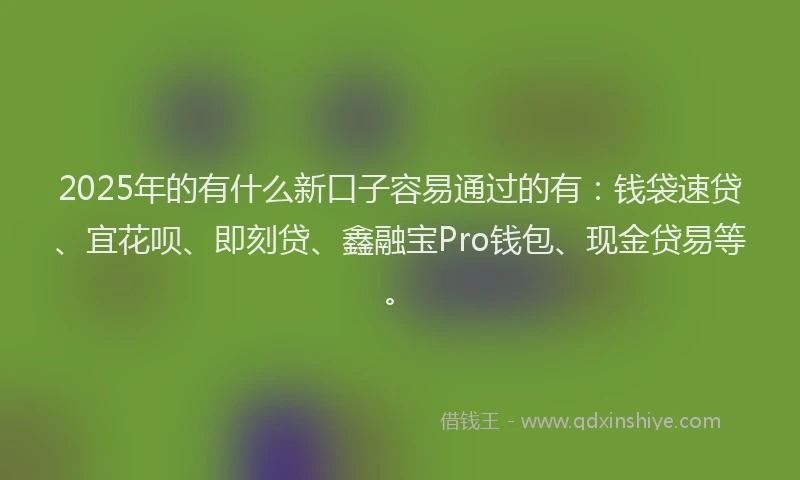 2025年的有什么新口子容易通过的有：钱袋速贷、宜花呗、即刻贷、鑫融宝Pro钱包、现金贷易等。