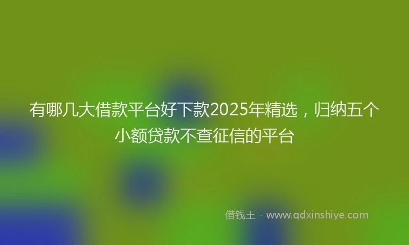 有哪几大借款平台好下款2025年精选，归纳五个小额贷款不查征信的平台