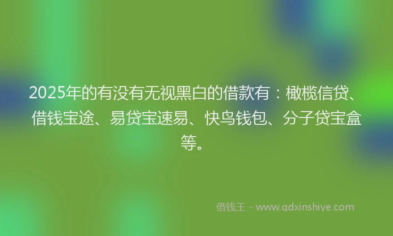2025年的有没有无视黑白的借款有：橄榄信贷、借钱宝途、易贷宝速易、快鸟钱包、分子贷宝盒等。