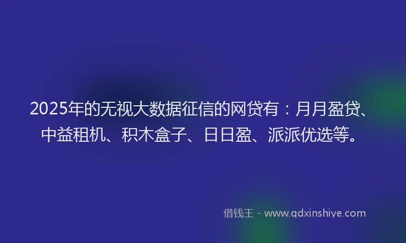 2025年的无视大数据征信的网贷有：月月盈贷、中益租机、积木盒子、日日盈、派派优选等。