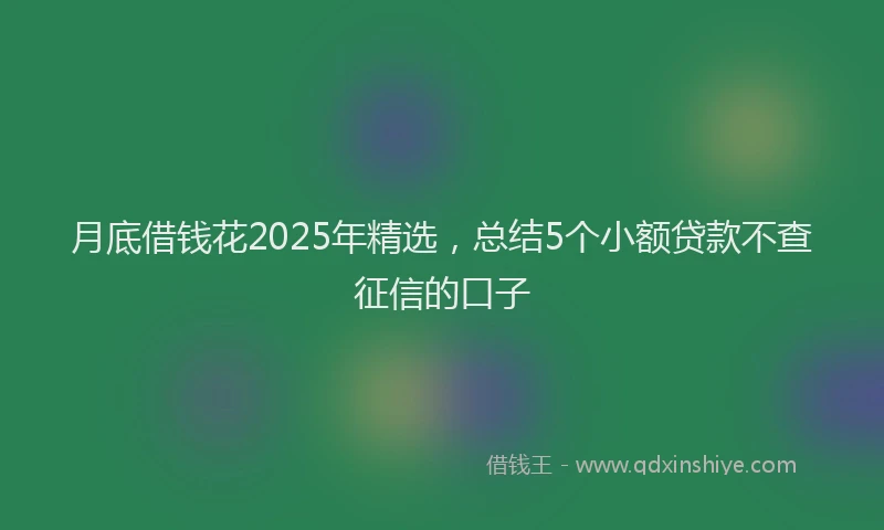 月底借钱花2025年精选，总结5个小额贷款不查征信的口子