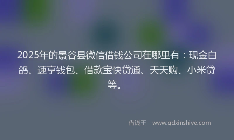 2025年的景谷县微信借钱公司在哪里有：现金白鸽、速享钱包、借款宝快贷通、天天购、小米贷等。