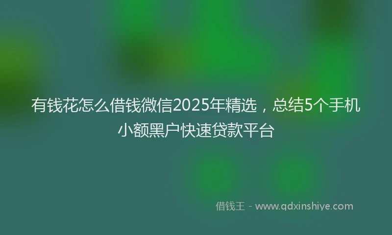 有钱花怎么借钱微信2025年精选，总结5个手机小额黑户快速贷款平台