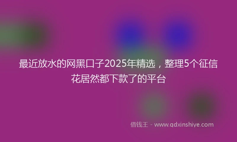 最近放水的网黑口子2025年精选，整理5个征信花居然都下款了的平台