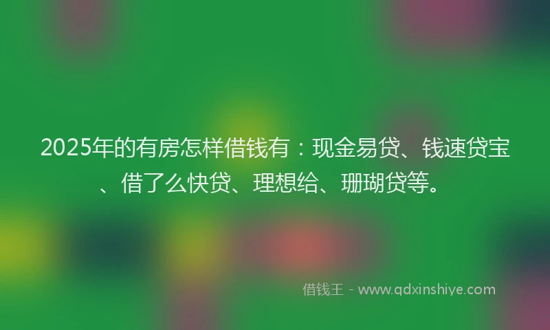 2025年的有房怎样借钱有：现金易贷、钱速贷宝、借了么快贷、理想给、珊瑚贷等。