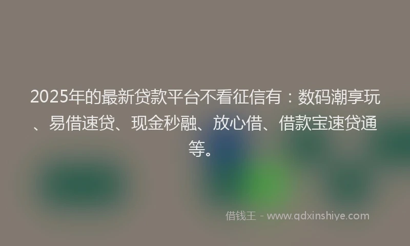 2025年的最新贷款平台不看征信有：数码潮享玩、易借速贷、现金秒融、放心借、借款宝速贷通等。