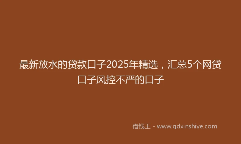 最新放水的贷款口子2025年精选，汇总5个网贷口子风控不严的口子