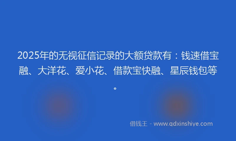 2025年的无视征信记录的大额贷款有：钱速借宝融、大洋花、爱小花、借款宝快融、星辰钱包等。