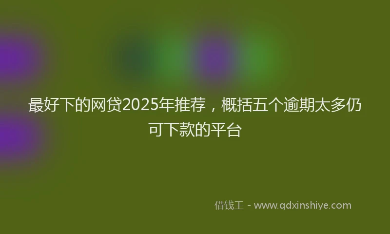 最好下的网贷2025年推荐，概括五个逾期太多仍可下款的平台