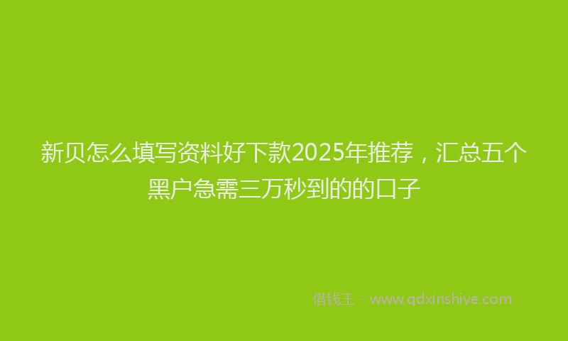 新贝怎么填写资料好下款2025年推荐，汇总五个黑户急需三万秒到的的口子