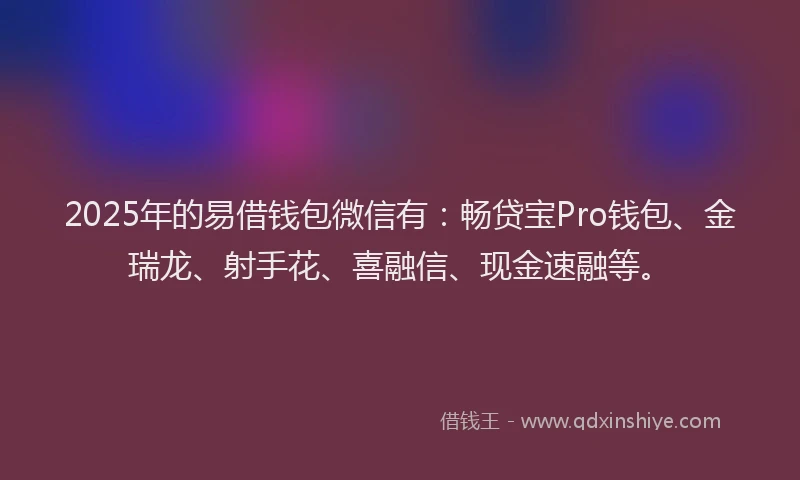 2025年的易借钱包微信有：畅贷宝Pro钱包、金瑞龙、射手花、喜融信、现金速融等。