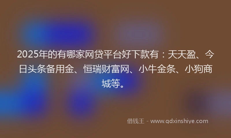 2025年的有哪家网贷平台好下款有：天天盈、今日头条备用金、恒瑞财富网、小牛金条、小狗商城等。