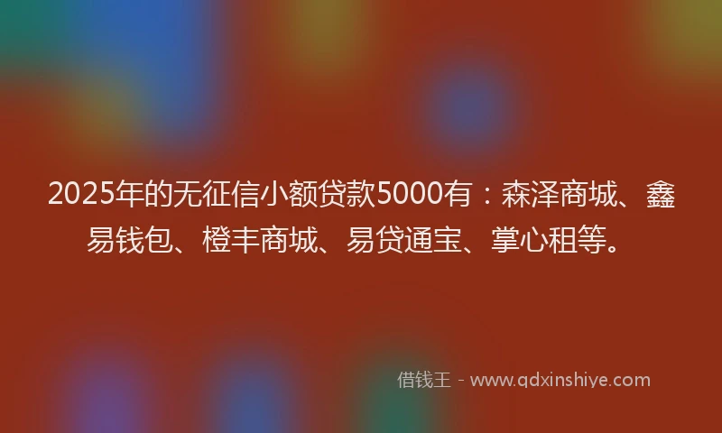 2025年的无征信小额贷款5000有：森泽商城、鑫易钱包、橙丰商城、易贷通宝、掌心租等。