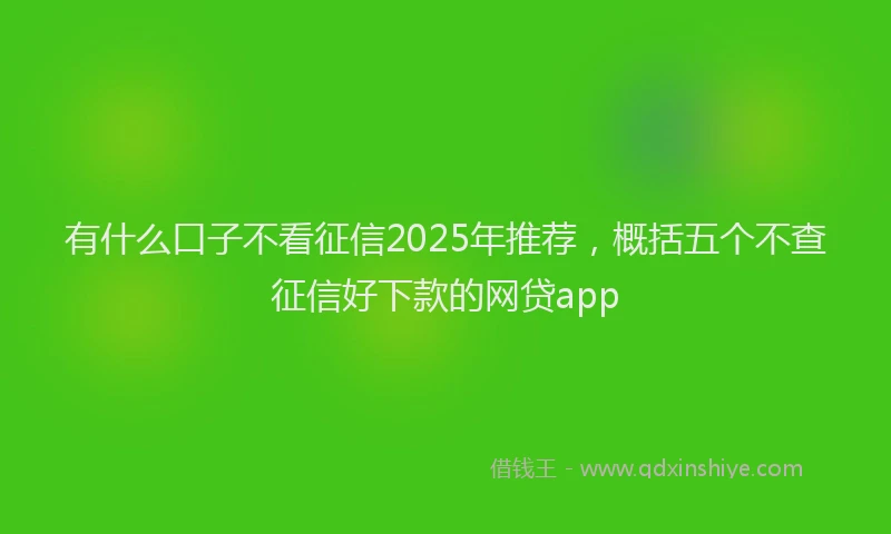 有什么口子不看征信2025年推荐，概括五个不查征信好下款的网贷app