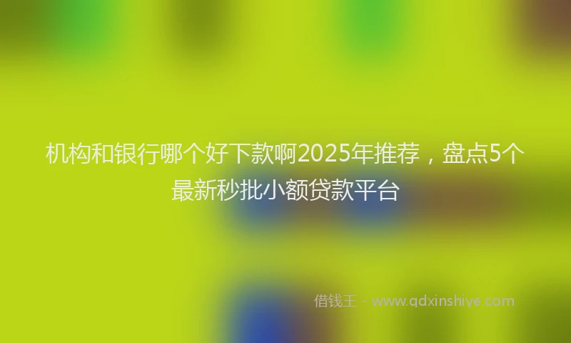 机构和银行哪个好下款啊2025年推荐，盘点5个最新秒批小额贷款平台