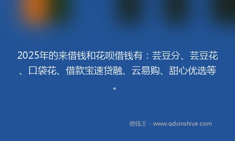 2025年的来借钱和花呗借钱有：芸豆分、芸豆花、口袋花、借款宝速贷融、云易购、甜心优选等。